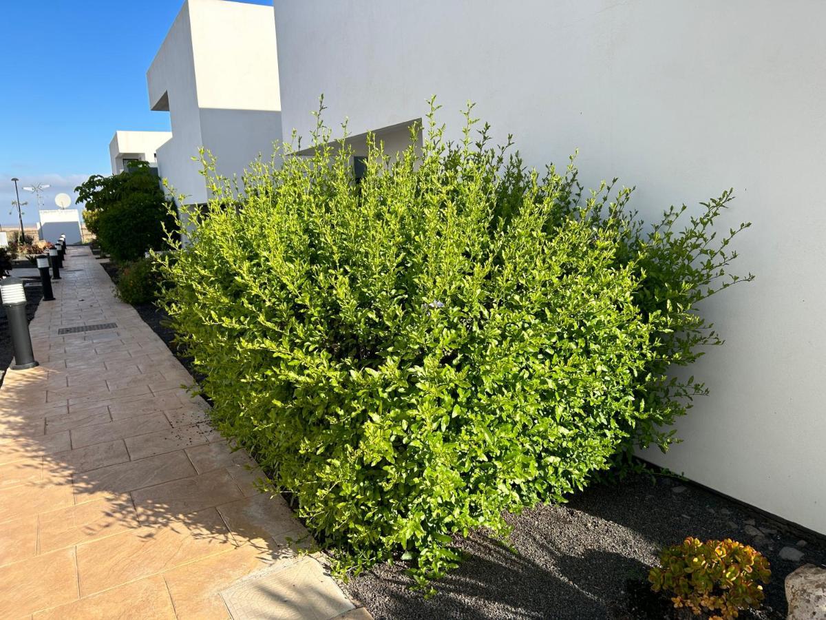 Casilla De Costa, La Oliva Lägenhet Villaverde  Exteriör bild